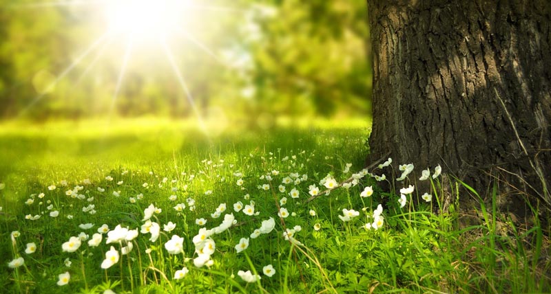 Când A Trecut Vara Etopia